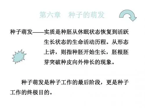 七年级生物种子的萌发1(1)(2019)