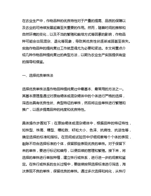 作物品种提纯复壮的典型方法