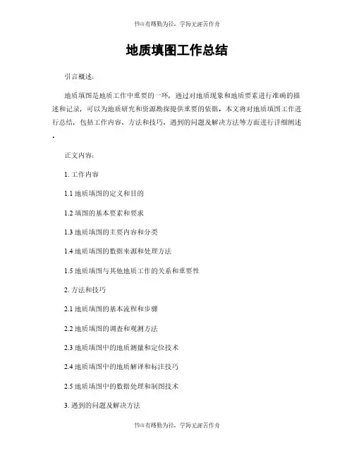地质填图工作总结