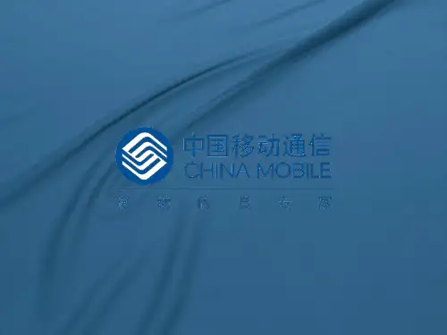 中国移动集团客户市场细分深度解读