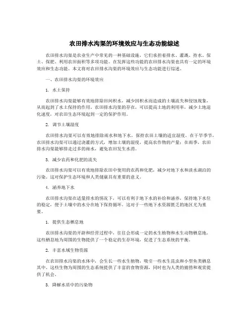 农田排水沟渠的环境效应与生态功能综述