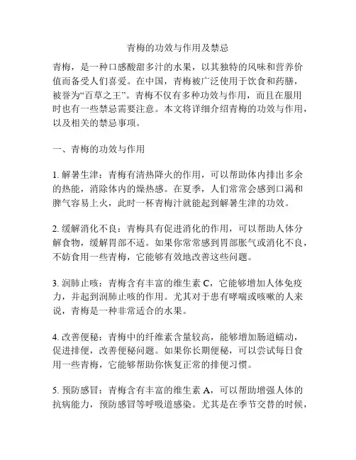 青梅的功效与作用及禁忌