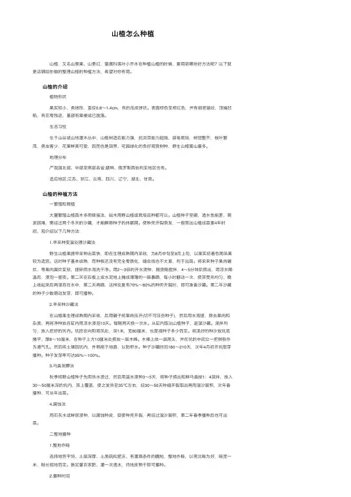 山楂怎么种植
