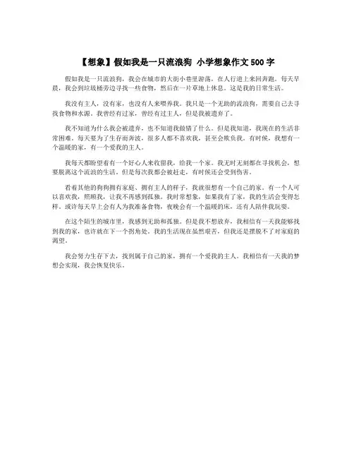 【想象】假如我是一只流浪狗 小学想象作文500字