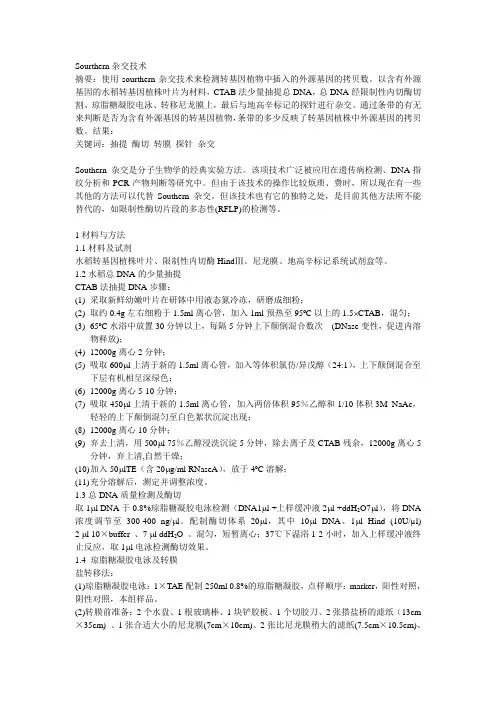 southern杂交技术