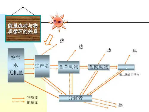 生态系统的养分循环