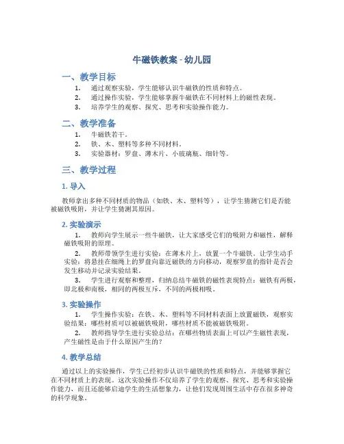 牛磁铁教案幼儿园