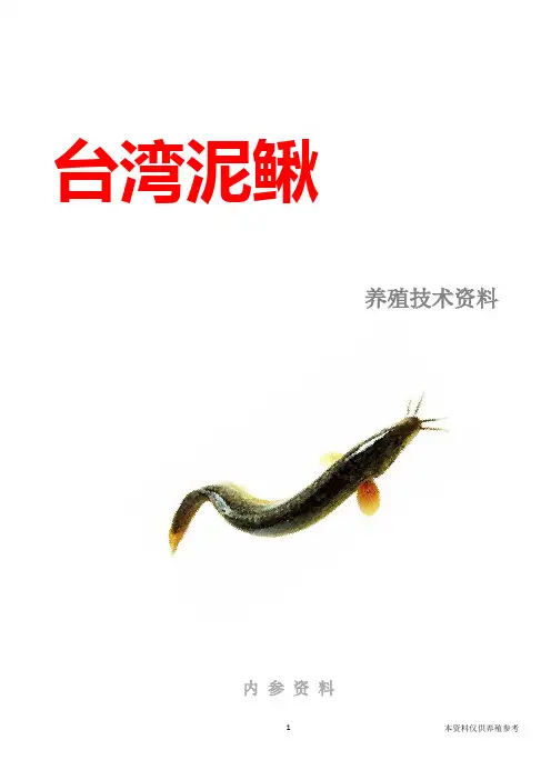 台湾泥鳅养殖技术