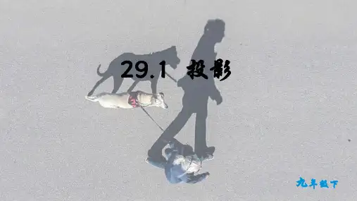 投影PPT课件(信息技术)