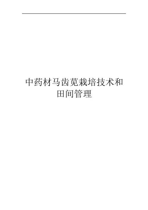 中药材马齿苋栽培技术和田间管理