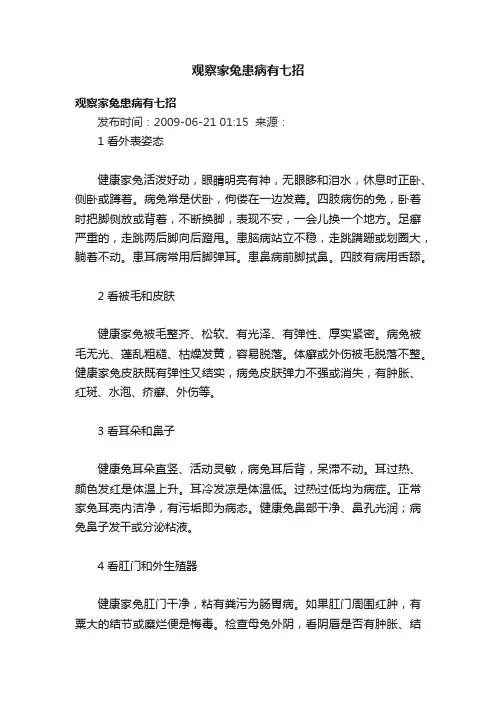 观察家兔患病有七招