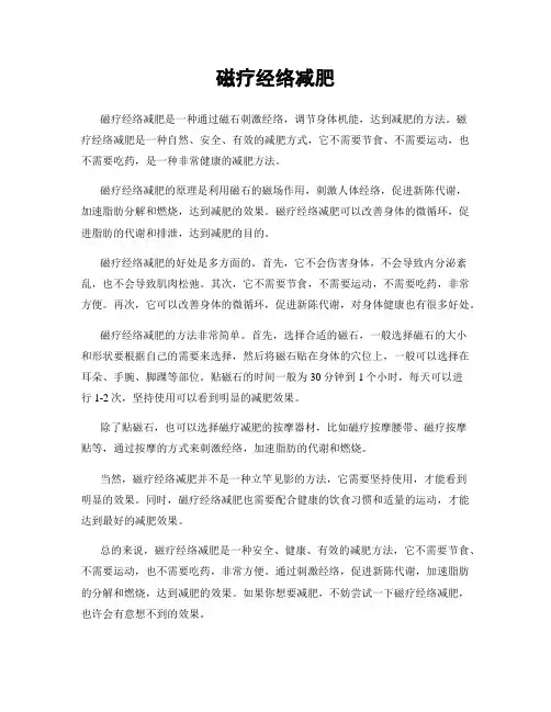 磁疗经络减肥