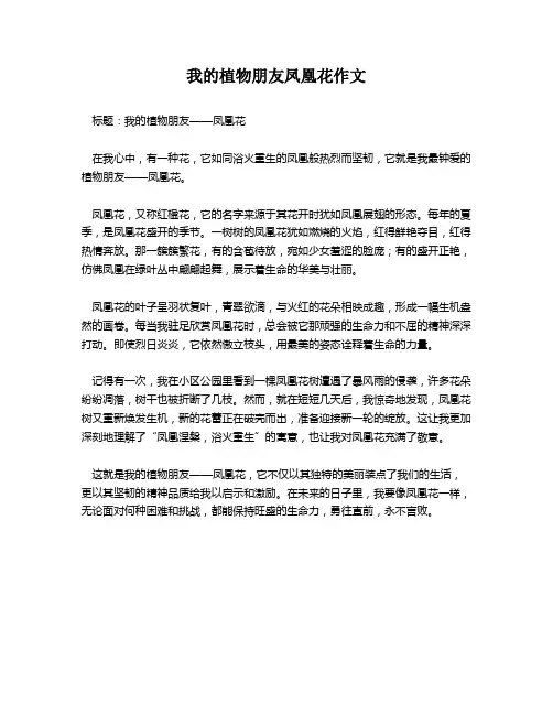 我的植物朋友凤凰花作文