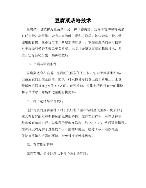 豆腐菜栽培技术