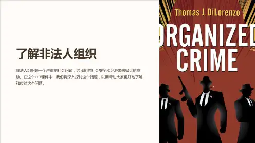 《非法人组织》课件