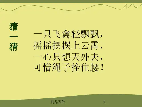 《风筝》PPT课件完整版.ppt