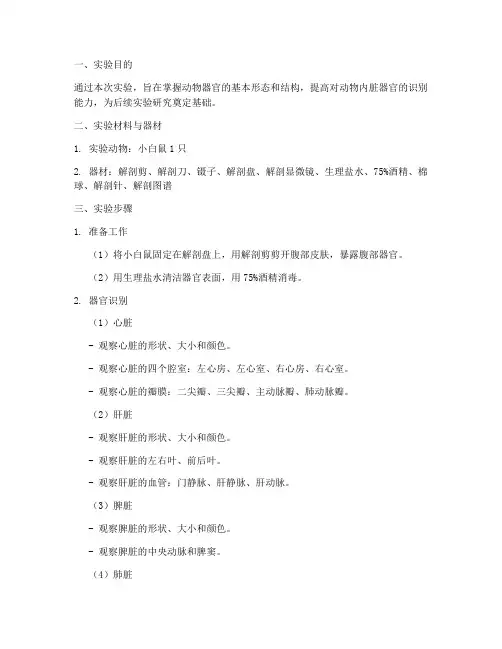 动物器官鉴别实验报告