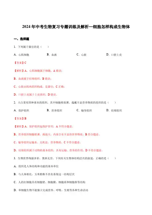 2024年中考生物复习专题训练及解析—细胞怎样构成生物体