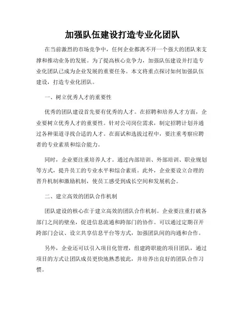 加强队伍建设打造专业化团队