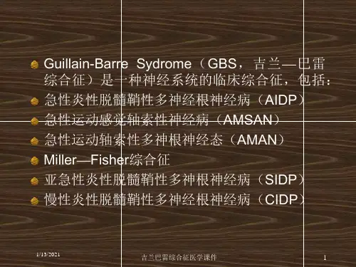 吉兰巴雷综合征医学课件培训课件