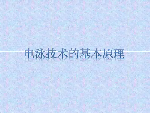 电泳技术的基本原理2