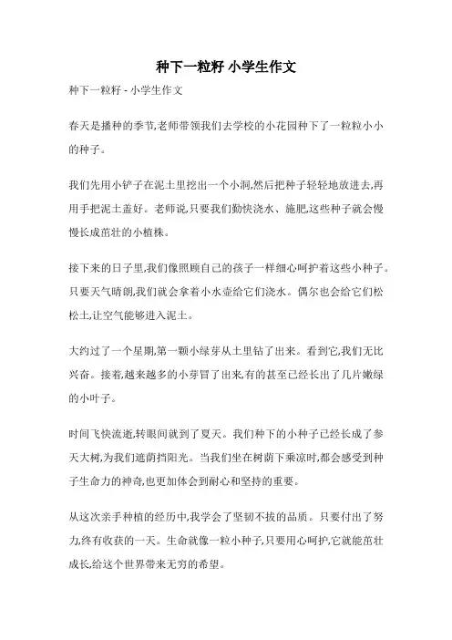 种下一粒籽 小学生作文