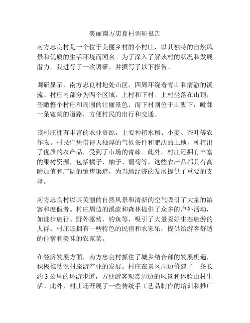 美丽南方忠良村调研报告