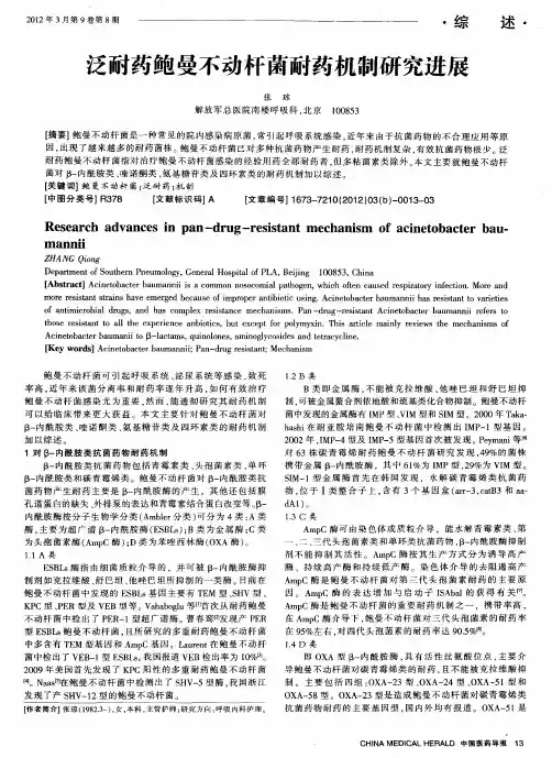 泛耐药鲍曼不动杆菌耐药机制研究进展