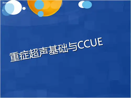 重症超声基础PPT课件