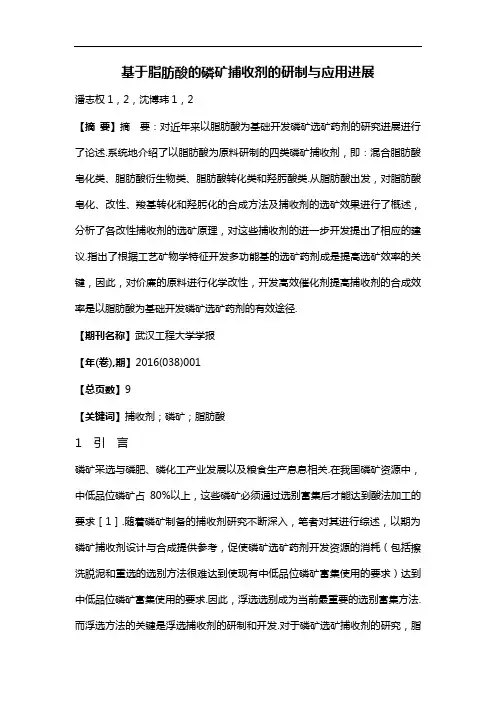 基于脂肪酸的磷矿捕收剂的研制与应用进展
