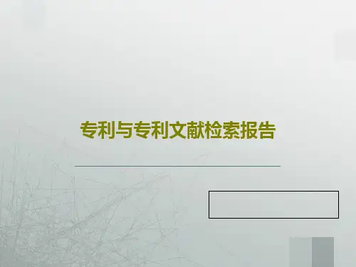 专利与专利文献检索报告101页PPT