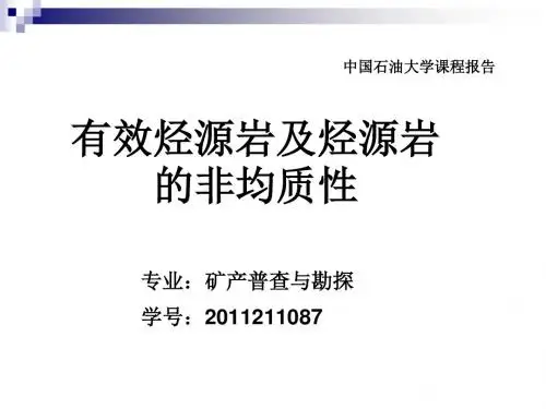 有效烃源岩及烃源岩的非均质性