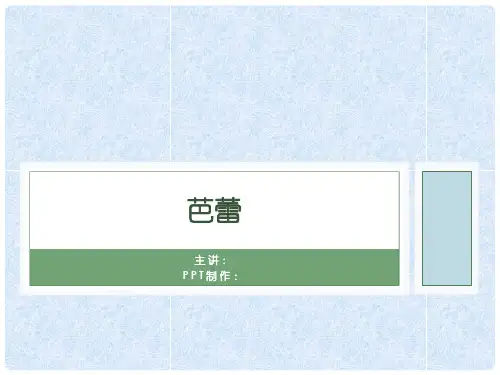 芭蕾舞介绍 PPT