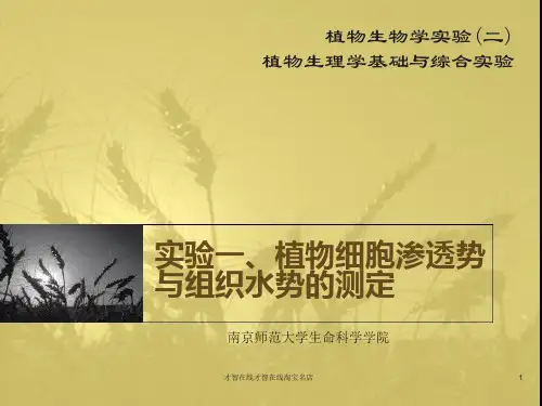 实验一、植物细胞渗透势与组织水势的测定