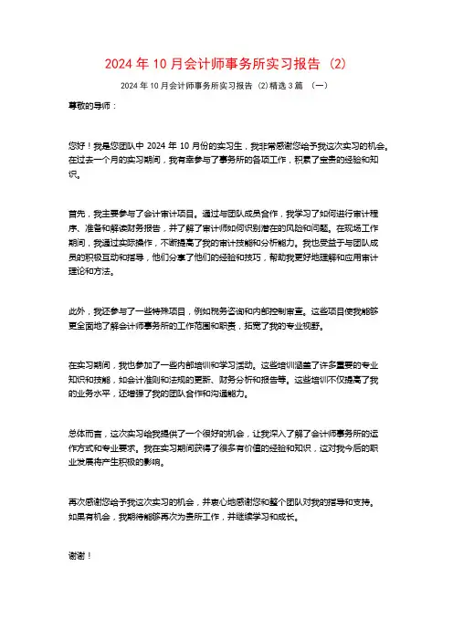 2024年10月会计师事务所实习报告3篇