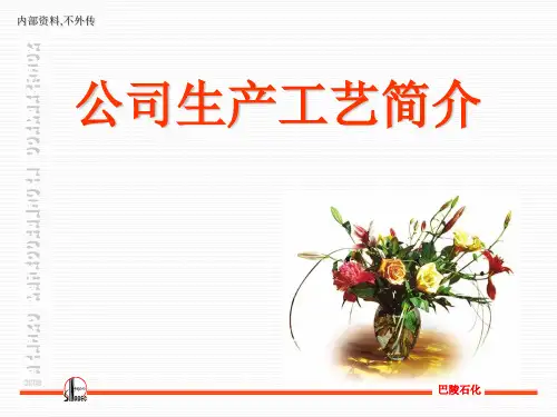 巴陵石化生产工艺简介