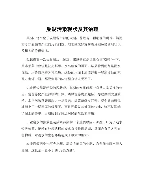 巢湖污染现状及其治理