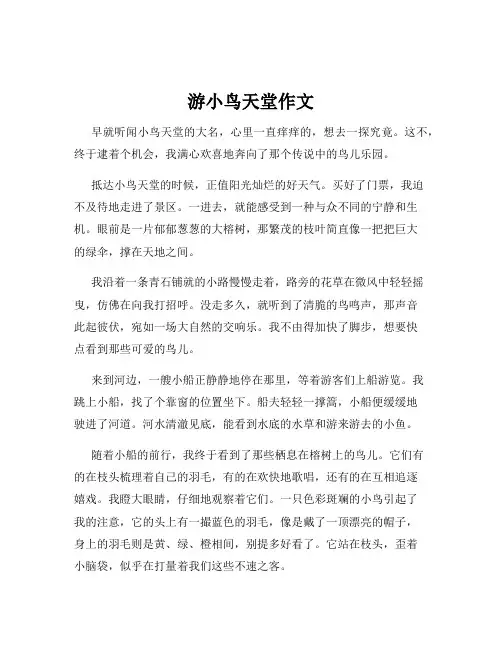 游小鸟天堂作文