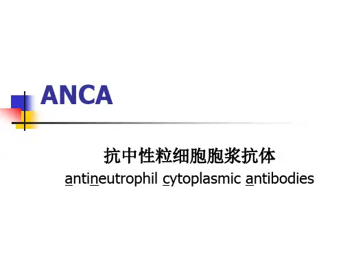 抗中性粒细胞胞浆抗体 PPT课件