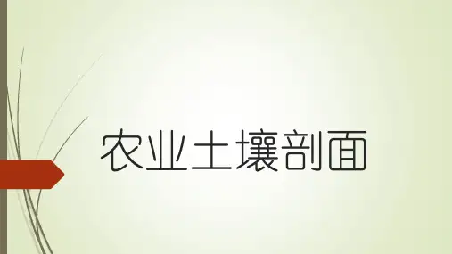 农业土壤剖面