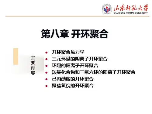 第8章 开环聚合