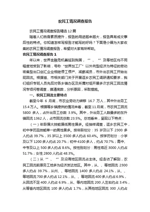 农民工情况调查报告
