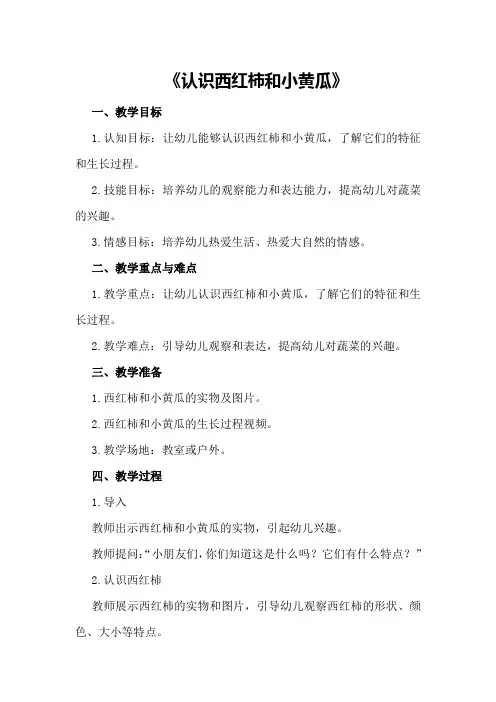 2024年小班教案《认识西红柿和小黄瓜》