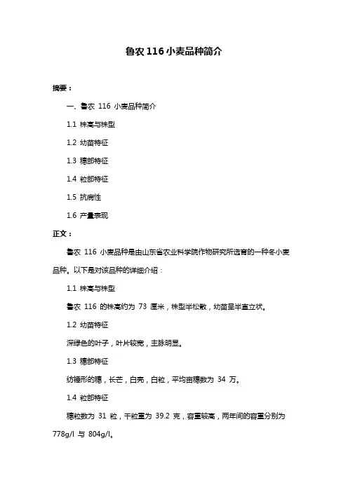 鲁农116小麦品种简介