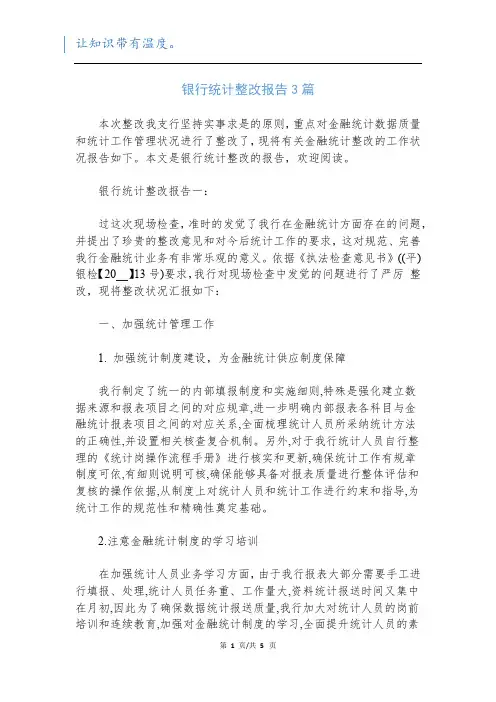 银行统计整改报告3篇