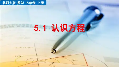 北师大版七年级上册数学5.1 认识方程PPT课件