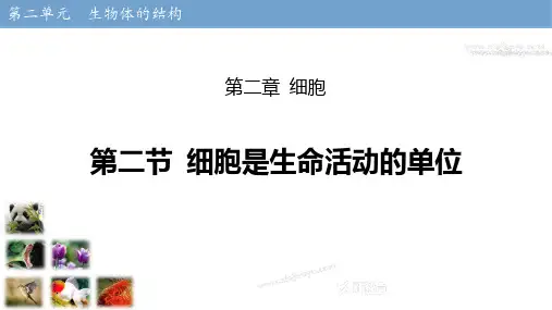 细胞是生命活动的单位 课件(共18张PPT)  生物学北师版七年级上册