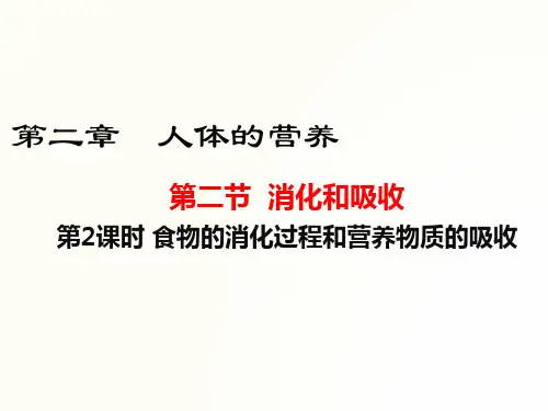 人教版 生物七年级下册 食物的消化过程和营养物质的吸收