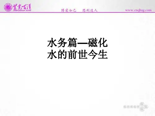 水务篇—磁化水的前世今生ppt课件