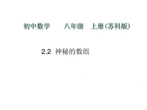 八年级数学神秘的数组(新编2019)